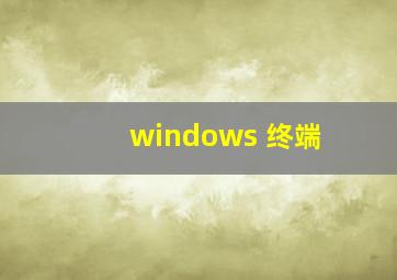 windows 终端